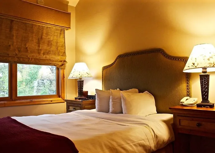 Madar Cafe Restaurant Zum Fuersten